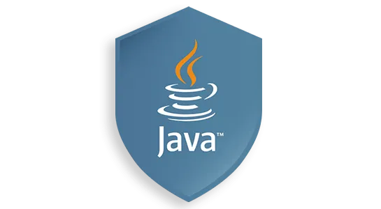 rc10-java-badge-3